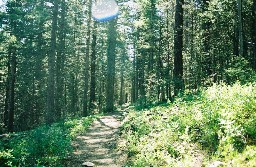 On the trail between Thunder Ridge & Sawmill